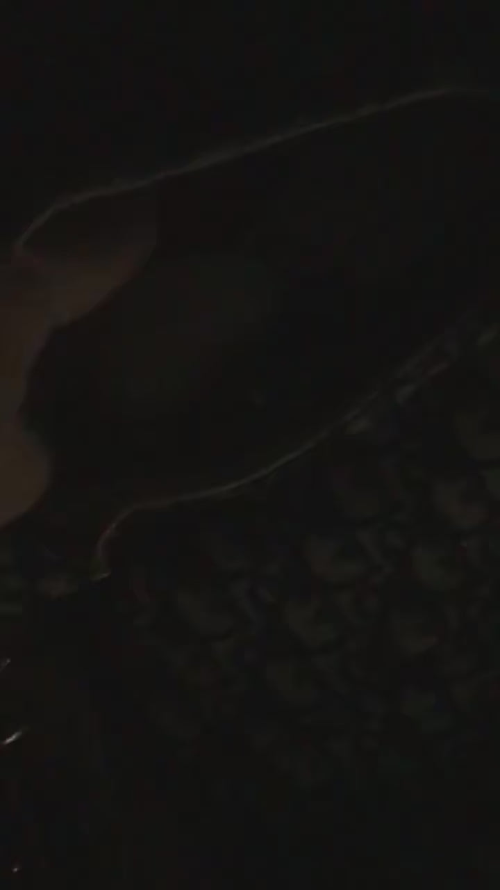 Purse Lume Motion-Sensor Heart Light